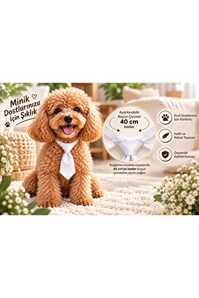 Berliva Home Adjustable Dog Collar with Tie - the Narrowest Part Is 15cm, the...