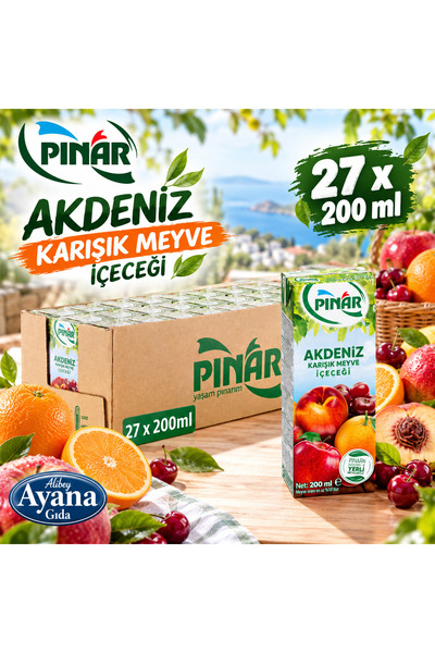 Pınar KARIŞIK MEYVE SUYU 200ML 27 ADET