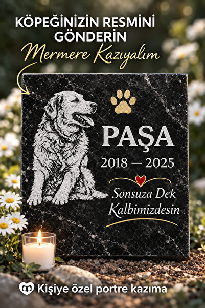 Digital Hayat Kişiye Özel Renkli Evcil PET Hayvan Mezar Taşı – Kedi Köpek Laz...