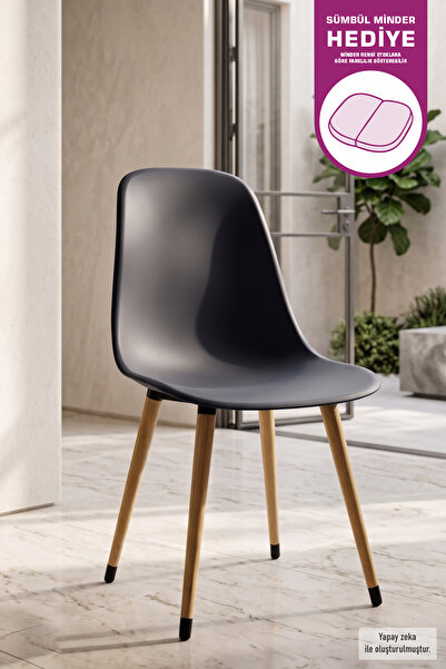 VİLİNZE Eames Naturel Ahşap Ayak Plastik Füme Sandalye