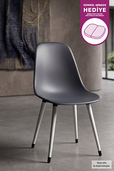 VİLİNZE Eames Beyaz Ahşap Ayak Plastik Füme Sandalye
