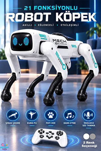 Brother Toys 21 Fonksiyon Uzaktan Kumandalı Akıllı Robot Köpek