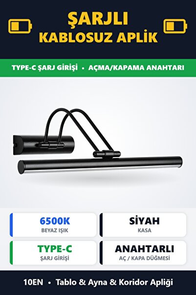 10EN Flüt Şarjlı Siyah Beyaz Işık Ledli Tablo Kuğu Duvar Aplik Şarjlı