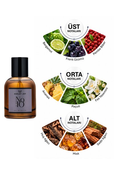 ASHLEY JOY NO:10 Erkek Parfüm EDP 50 ML | Fresh & Fougere | Bergamot, Ananas, Misk | Amber Renkli Cam Şişe