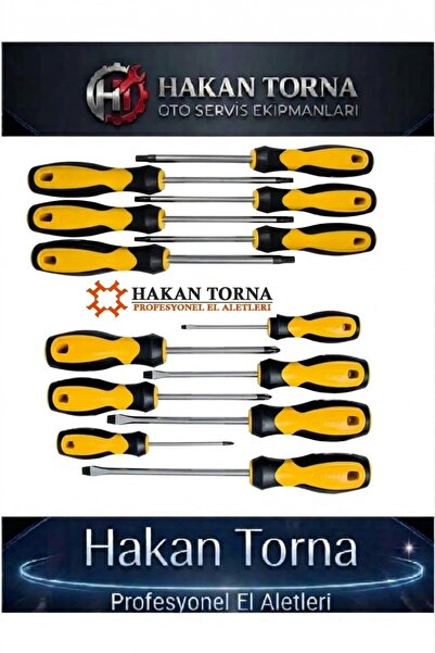 Rico Düz Yıldız Ve Torx Tornavida Takımı