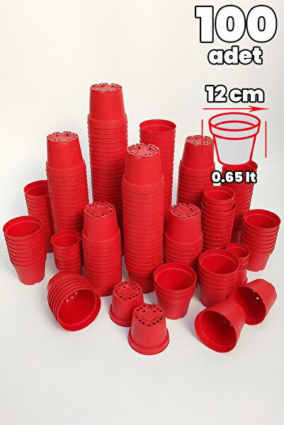Toptan Kaktüs Üretim saksısı 12 cm çap 100 adet bol delikli
