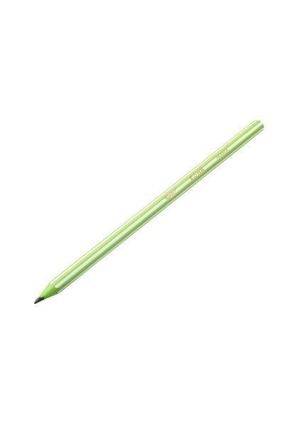 Bic Creioane grafice HB fără radieră Evolution Stripes 646, cutie de 12