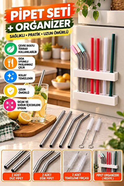 BRE HOME Paslanmaz Çelik Pipet Seti ve Organizer | 2 Düz, 2 Eğik Pipet ve 2 T...