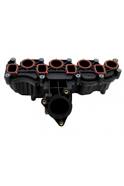 LORO Galerie de admisie Audi A1 / A3, Seat Altea / Ibiza IV / Leon, Skoda Fab...