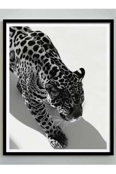 Taranist Poster - Leopar - Siyah Beyaz Minimal Vahşi Hayvan Duvar Dekoru
