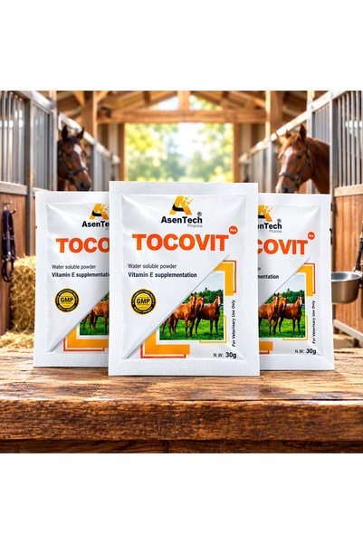 AsenTech TOCOVIT Vitamin E Powder for Horses | Pack of 3 | Immunity & Muscle Support | 30g