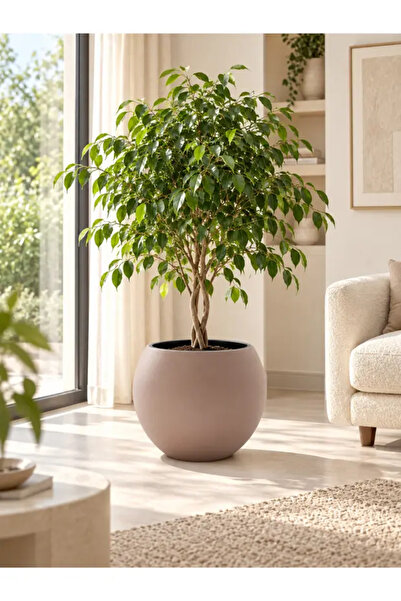 poliva home 27 Litre Küre Model Saksı Büyük Boy Salon Bitki Saksısı Modern De...