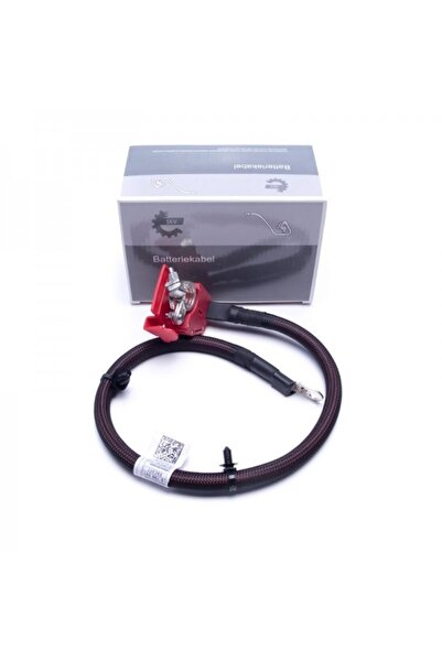ESEN SKV CLEMĂ BATERIE BMW X5 F95 G05 X6 61128795485 61128795485