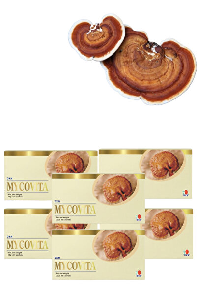 DXN 6 Pieces Mycovita 30 sachets × 12 g