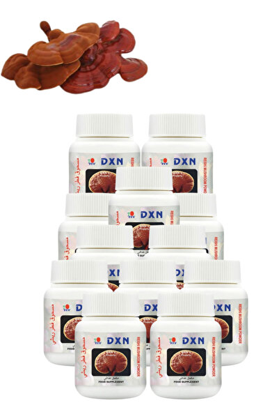 DXN 12 Pieces Reishi Mushroom Powder 70 g