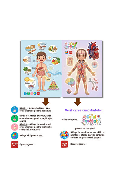 minibooks Pachet Corpul Uman Carte cu sunete Interactivă + 1 Poveste Interactivă Surpriză, pentru copii 6+, compatibil cu pixul Minibooks, FĂRĂ PIX