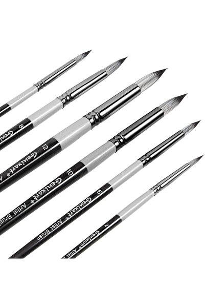 Generic Genixart Round Paint Brush Set – Art Paintbrushes Acrylic Oil Watercolor
