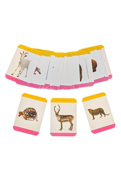 DD SHOP Cartonase Educative Mini cu Animale - 48buc - Carti Joc Copii, Produs...