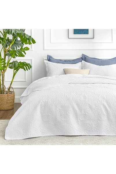 Love's cabin Quilts for Queen Bed Blue Bedspreads - Soft Bed Summer Quilt Lig...
