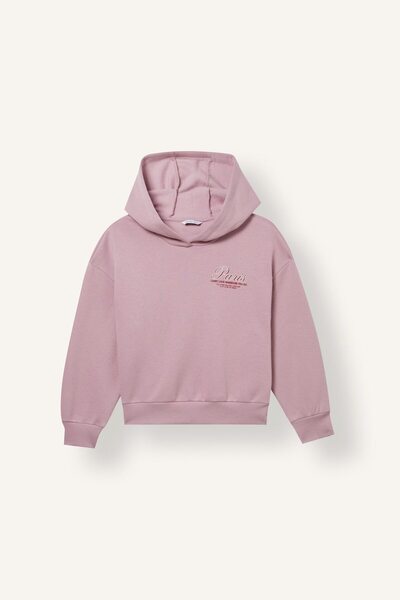 DeFacto Hooded Chest Printed Soft Fleece Inside Thick Sweatshirt for Girls I7...