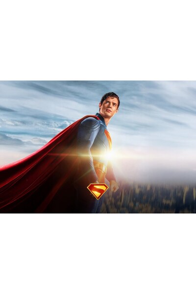 OEM Poster Superman Flight Of The Hero, 61x90 cm, poster6714