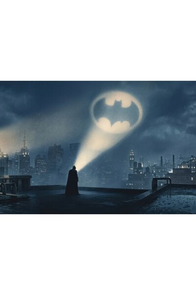 OEM Poster Batman Shadows Are His Home, 61x90 cm, poster6753