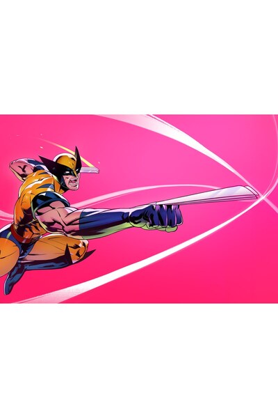 OEM Poster Wolverine Arde-a cartea cu regulile, 61x90 cm, poster6461