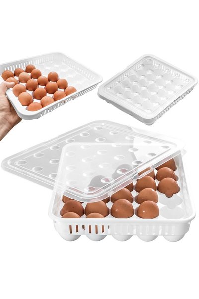 Orion Recipient Pentru 30 Oua, 33x27x7 cm, Plastic BPA Free, Alb Transparent