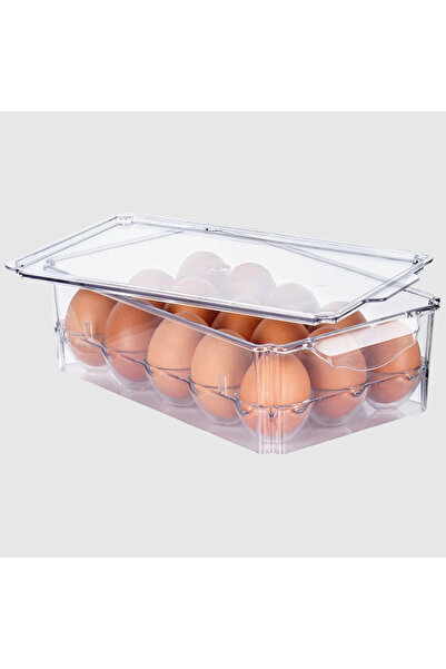 Vilde Cutie Organizator Pentru 15 Oua, 27x16x7.5 cm, Plastic Transparent