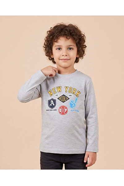 REDTAG Boys Grey Printed Long Sleeve T-Shirt