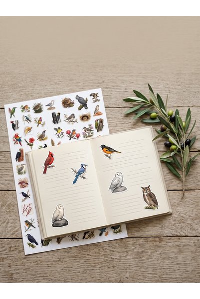 Dekorif Bird Sticker Set 400+ Pieces 9 Different Sizes Vintage Nature History Illustration Agenda Planner Journal A4