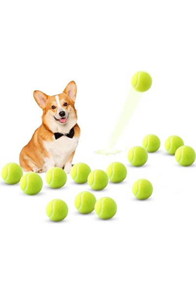 GENERAL Zizi Mini Tennis Balls, 15 Pack of 2 Inch Dog Tennis Balls, Easy Play...