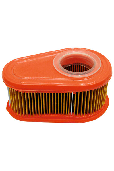 Other Filtru de aer BRIGGS STRATTON 792038, 790388