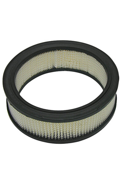 Other Filtru de aer BRIGGS STRATTON 394018S, 394018
