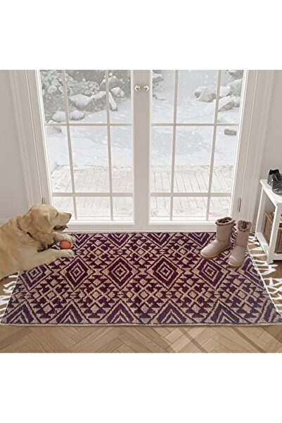 Generic Traditional Ethnic Geometric Handwoven Cotton Area Rug – 29 x 46 Inches