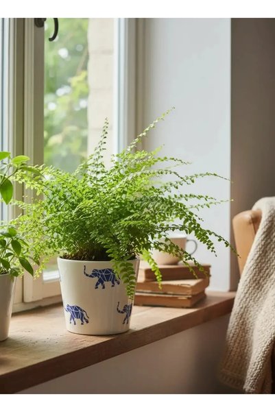 Mels Atelier Fil Baskılı Saksı