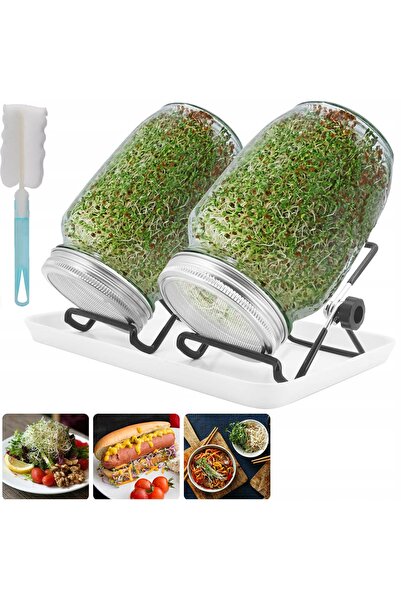 NO BRAND Borcan de germinare semințe, germinator, borcan de sticlă, semințe, ...