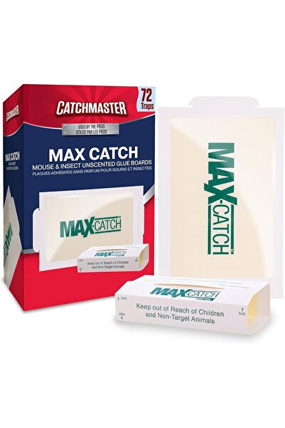 MAX-CATCH Fistik Aromalı Fare Yapışkanı Tuzağı 72 li