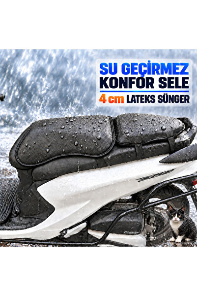 Hard Guard سرج أورورا AR 100-62 كارتال كونفور مقاوم للماء، يحافظ على شكله، 4 ...