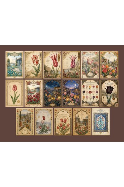 TELLGRAF Tulip Themed Postcard Set (10X15 cm 17 Pieces)
