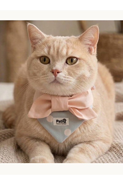 Genel Markalar 🎀 Pudra Pembe Fiyonklu & Puantiyeli PatiQ Kedi Boyunluk