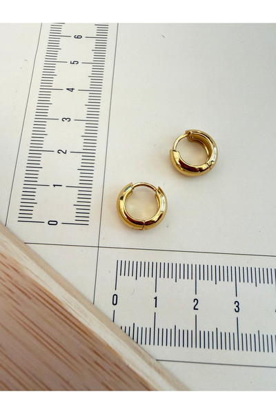 zadenza gold 316l surgical steel 5mm*10mm domed steel hoop earrings gold