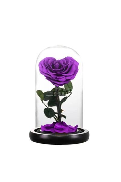 Trandafir Criogenat Trandafir violet conservat Ø8cm în cupolă