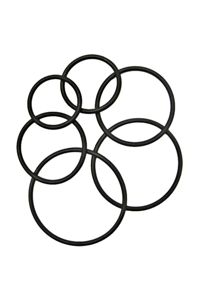 Granit O-ring 2mm 32mm 570032.0X2.0/10 GRANIT