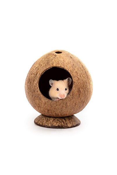 Morvena Picks Căsuță din nucă de cocos, pat pentru hamster, potrivită pentru ...