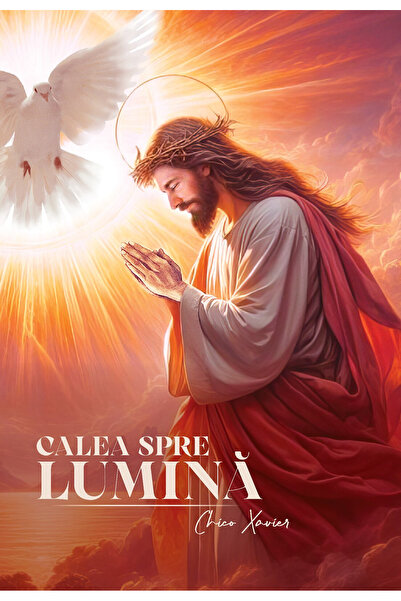 Soma Calea spre lumină