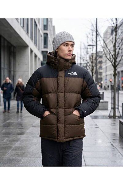 THE NORTH FACE Hmlyn down Parka Men's Outdoor Jacket (550 Fill Goose down) Brown