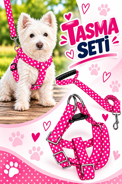 Angelapets KÖPEK GÖĞÜS TASMASI VE GEZDİRME KAYIŞI SETİ