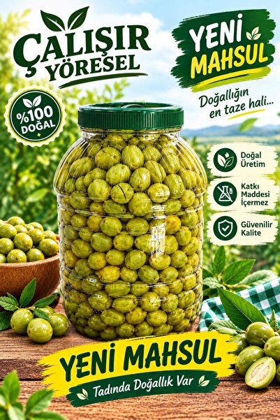 Taş Kırma Yeşil Zeytin yeni mahsul (5 kg)