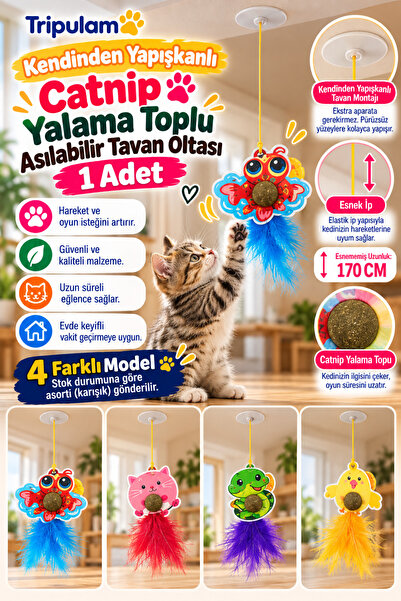 TRİPULAM Catnipli Asılabilir Kedi Tavan Oltası – Catnip Yalama Toplu Yapışkan...